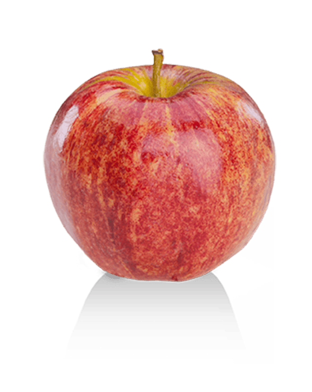 Pomme Variété Gala x4 - Origine France