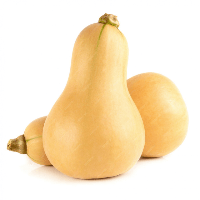 Butternut x1 - Origine France