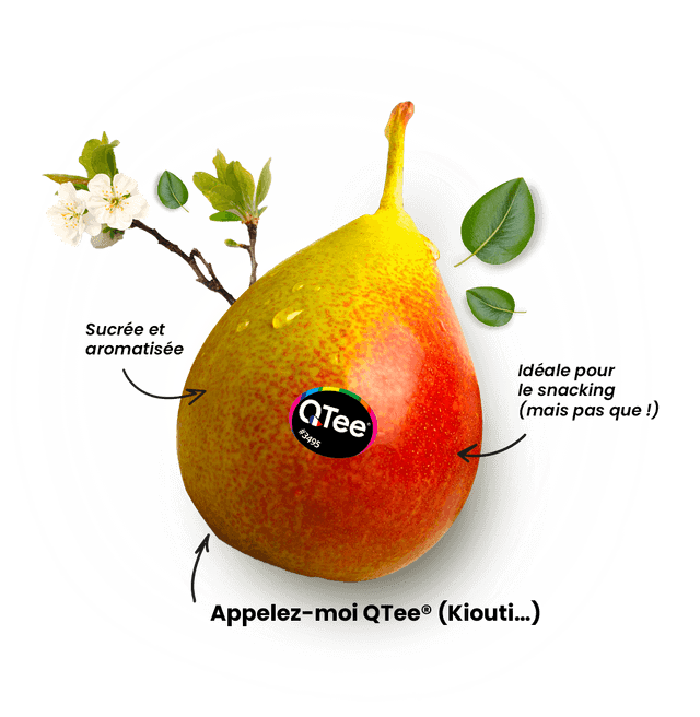 Poire Qtee x2 - Origine France